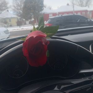 Meet your Posher, Krista